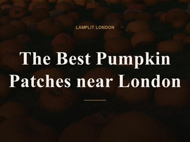 The Best Pumpkin Patches near London