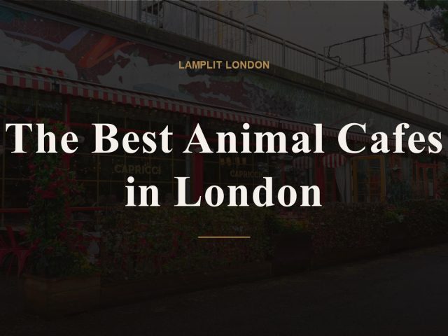 The Best Animal Cafes in London
