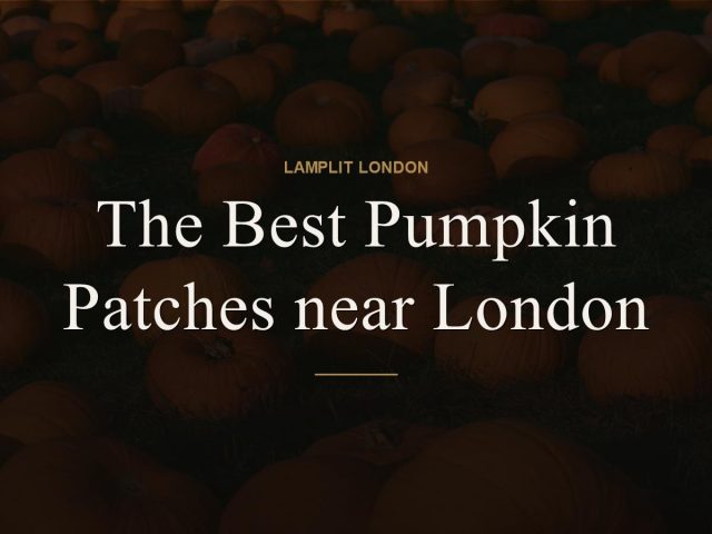 The Best Pumpkin Patches near London