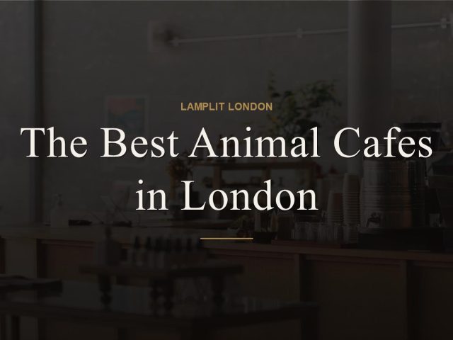 The Best Animal Cafes in London