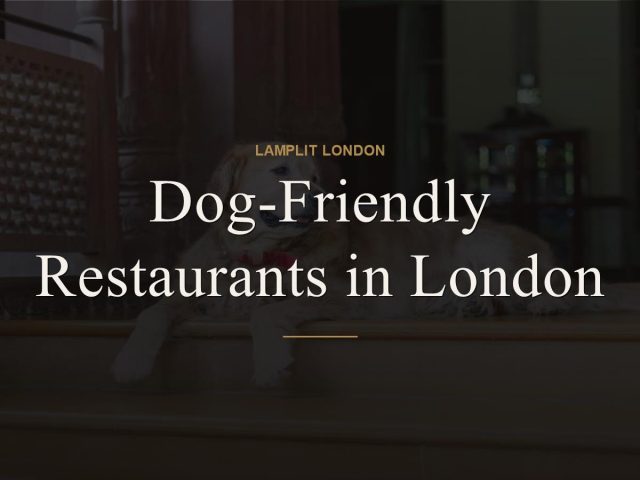 Dog-Friendly Restaurants in London